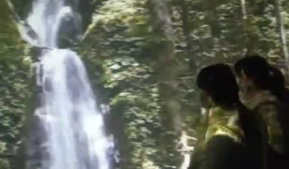 體感觸發(fā)廣告墻